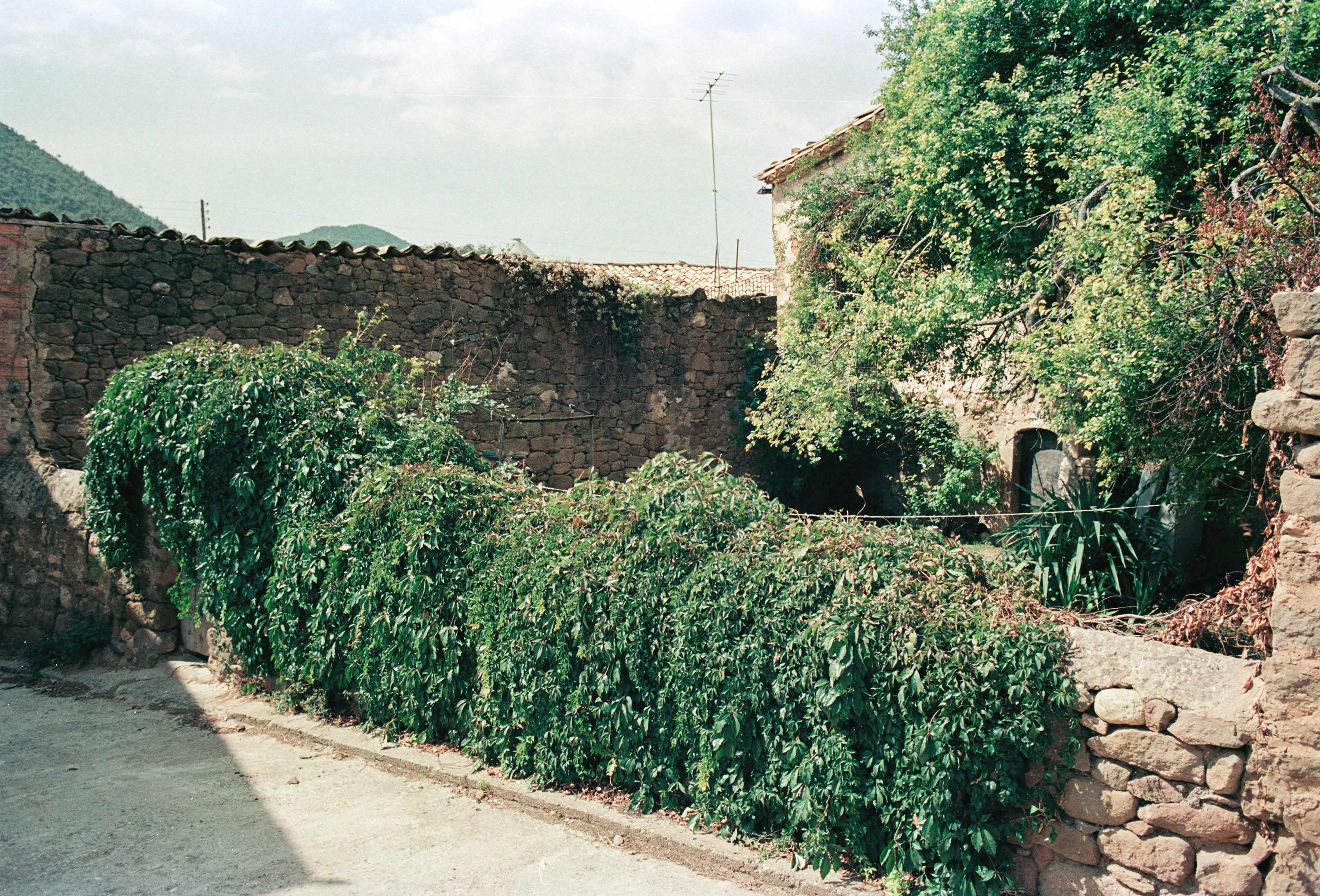 Cal Colau (Mota)
