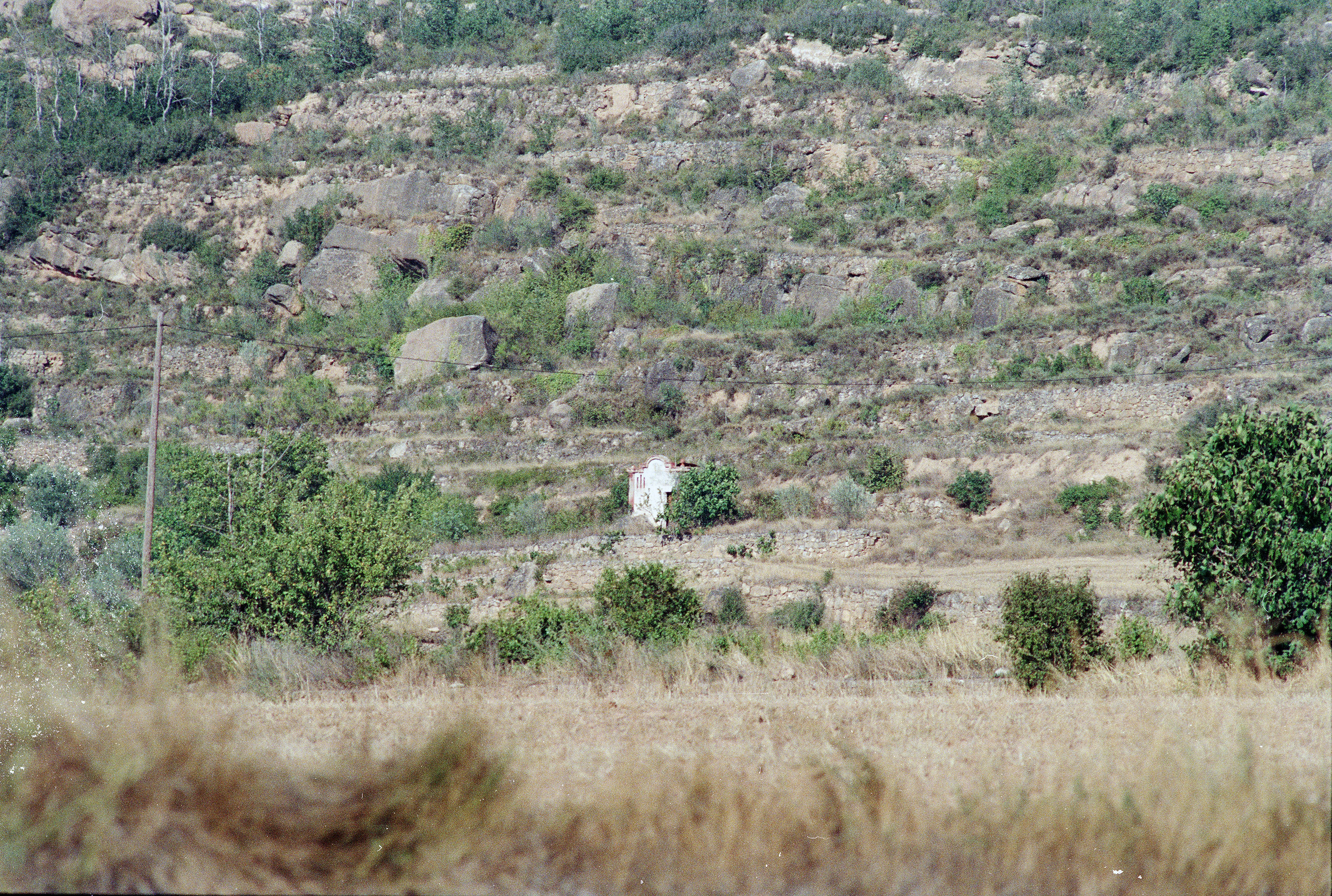 Comella de Cal Cirera