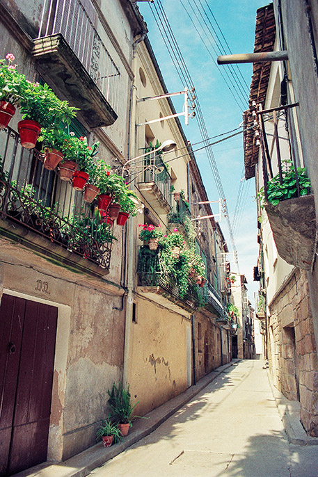 Ca l'Oliva
