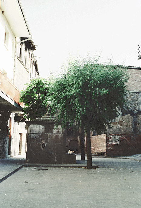 El Pou (1984)