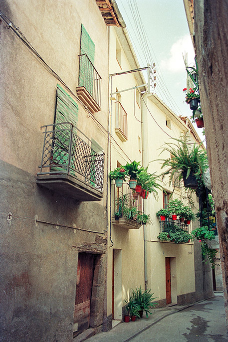 Ca l'Orteu