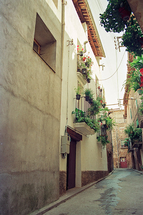 Cal Baró (Ca la Mònica Vell)