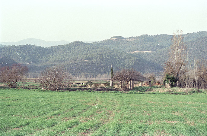 Rentador