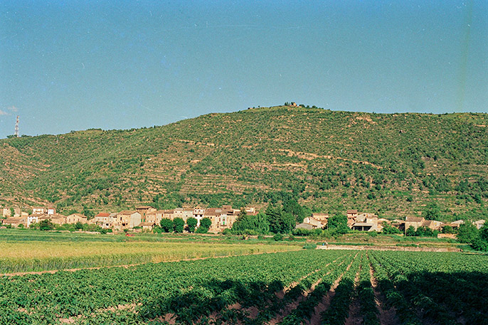 Tiurana desde el riu Segre